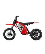 Anyland Rev Pro Electric Dirt Bike(Wheelie Assist)