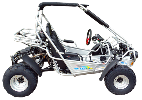 TrailMaster 300E XRS (EFI) Dune Buggy Go Kart, Liquid Cooled, Chain Drive