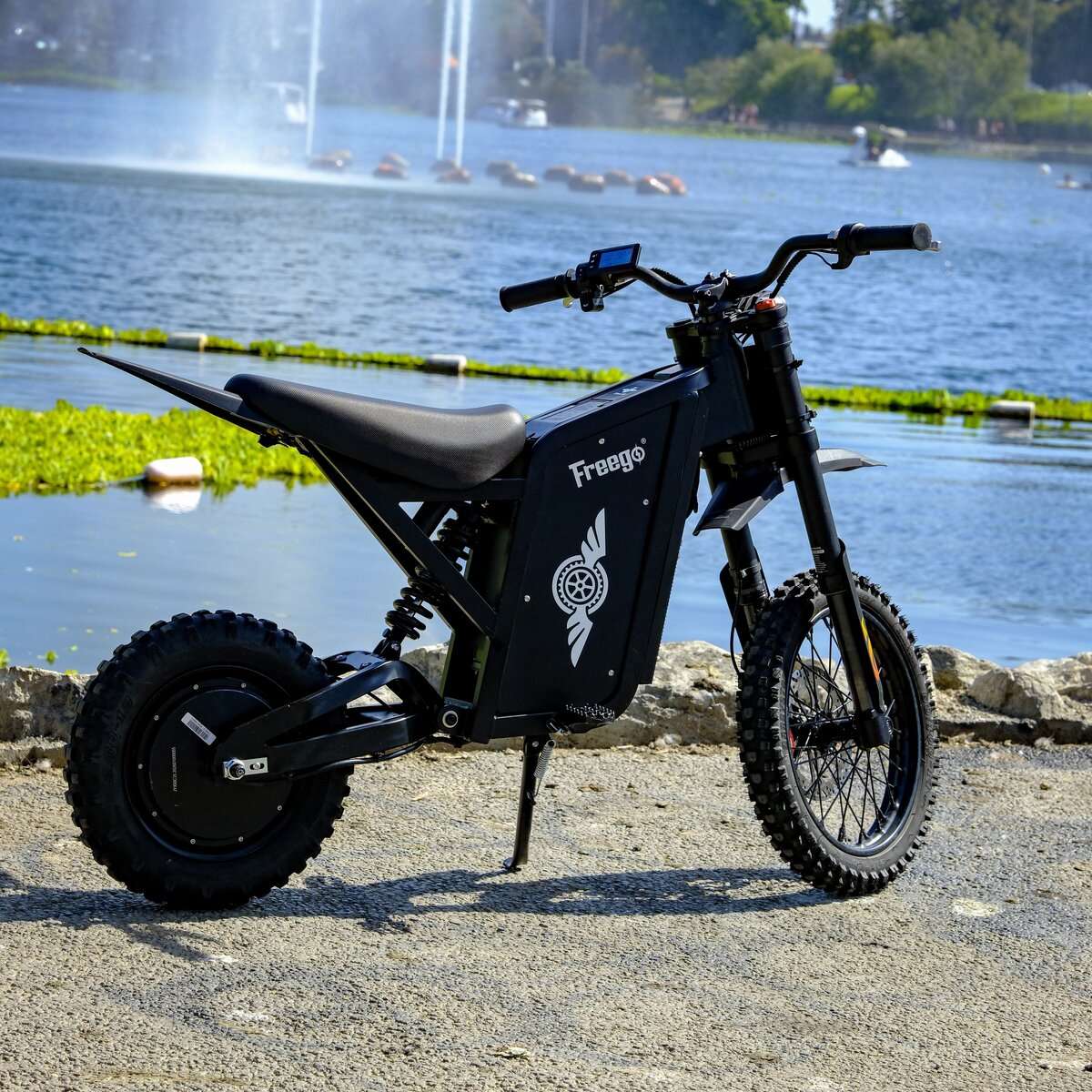 Freego X0 Electric Mini Bike