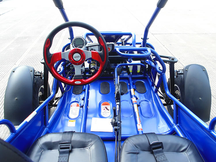 TrailMaster 300E XRS (EFI) Dune Buggy Go Kart, Liquid Cooled, Chain Drive