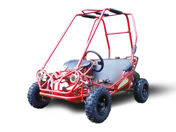 TrailMaster MINI XRS+ Kids Go Kart, 5.5hp Gas Engine, Dual Seats, Adjustable Pedals, Pull Start, Kids Ages 4-9