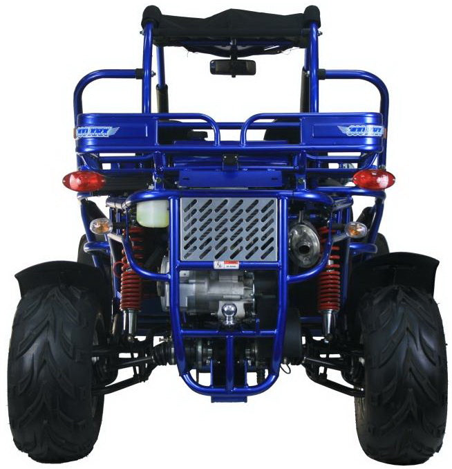 TrailMaster 300 XRX-E Dune Buggy Go Kart, EFI Fuel Injected, Liquid Cooled, Shaft Drive, Alloy Wheels