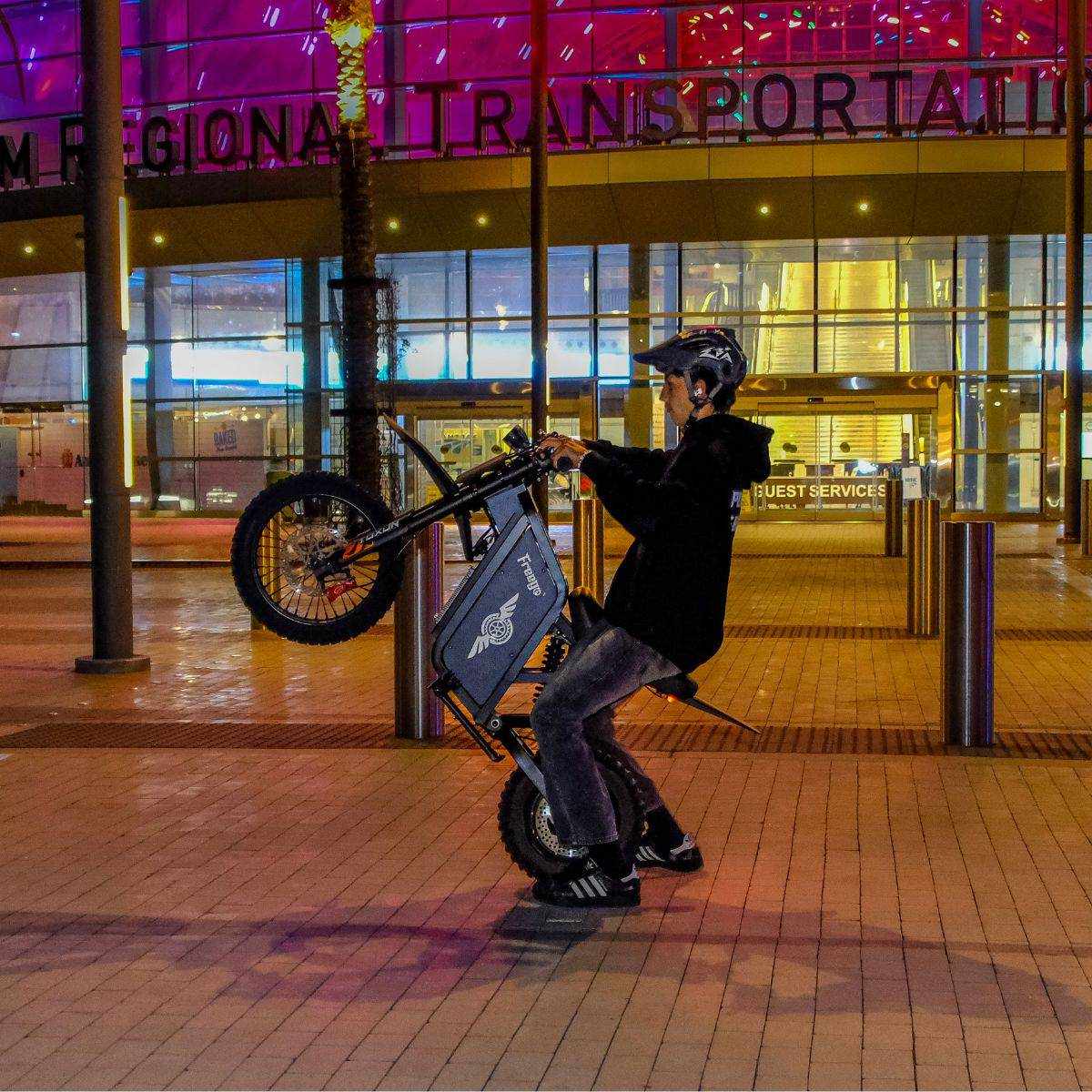 Freego X0 Electric Mini Bike