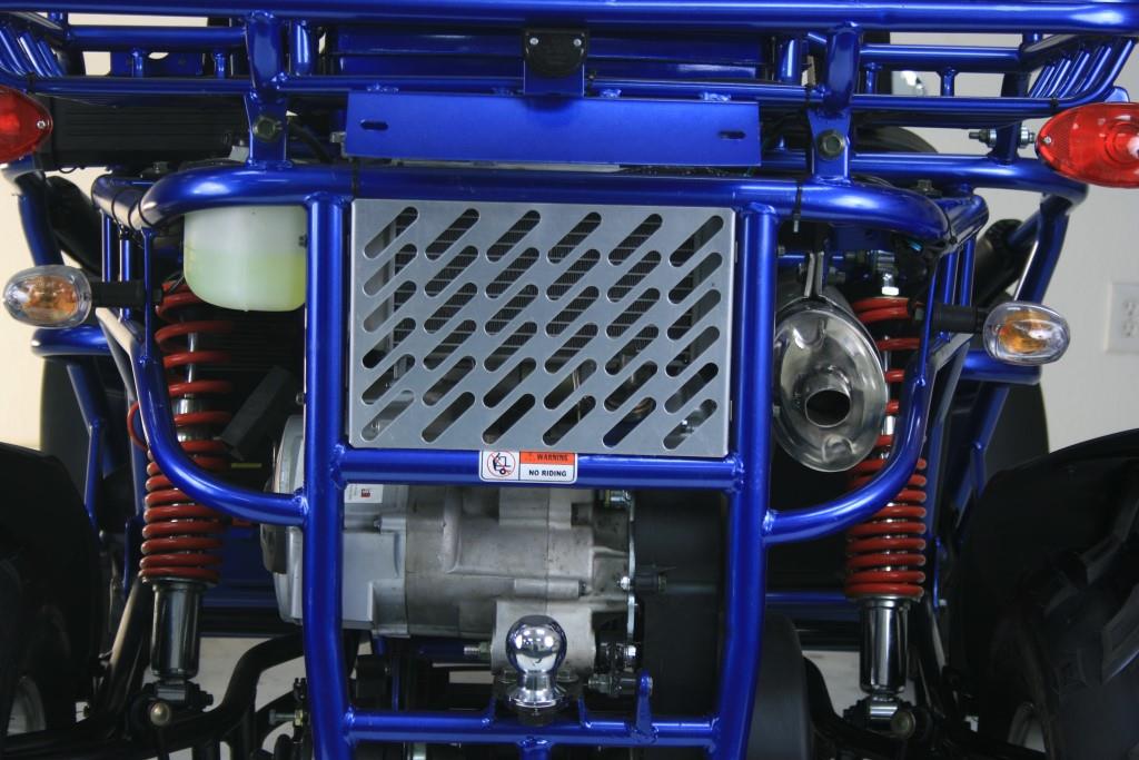 TrailMaster 300 XRX-E Dune Buggy Go Kart, EFI Fuel Injected, Liquid Cooled, Shaft Drive, Alloy Wheels
