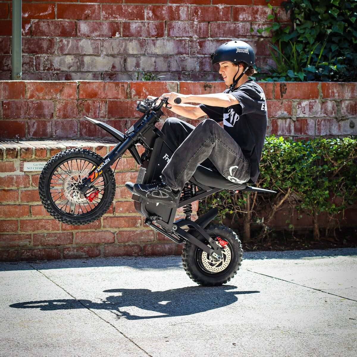 Freego X0 Electric Mini Bike