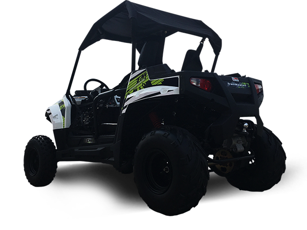 TrailMaster Challenger 200 UTV Go Kart, (Special) for Youth & Adult