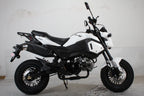 X-PRO 125cc Vader Motorcycle with Manual Transmission, Electric Start! Dual Headlights! Big 12in Wheels!