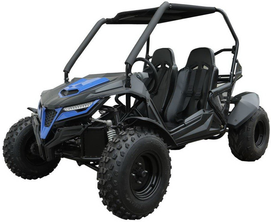 TrailMaster Cheetah 200E EFI Buggy Go Kart, CVT Automatic with Reverse