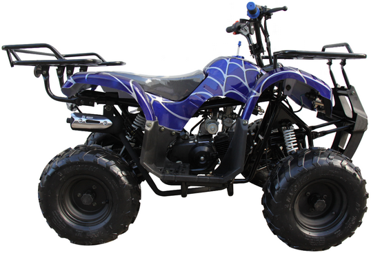 TrailMaster Mini 125cc Utility Style ATV, Electric Start, Automatic with Reverse, 7-inch Wheels, Ages 9-12