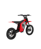 Anyland Rev Pro Electric Dirt Bike(Wheelie Assist)
