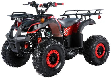 TrailMaster B125 125cc Utility ATV, Automatic with Reverse, 8-inch Wheels, Ages 12+