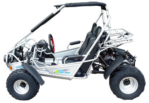 TrailMaster 300E XRS (EFI) Dune Buggy Go Kart, Liquid Cooled, Chain Drive