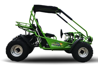 TrailMaster 200E XRS EFI Go Kart (Special) CVT Auto with Reverse -