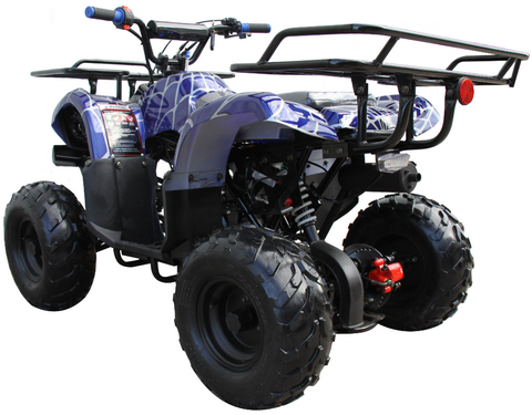 TrailMaster Mini 125cc Utility Style ATV, Electric Start, Automatic with Reverse, 7-inch Wheels, Ages 9-12
