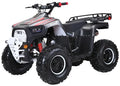 TrailMaster Lander-XD 125UF 125cc Utility ATV, Automatic with Reverse, 8-inch Wheels, Ages 9-12