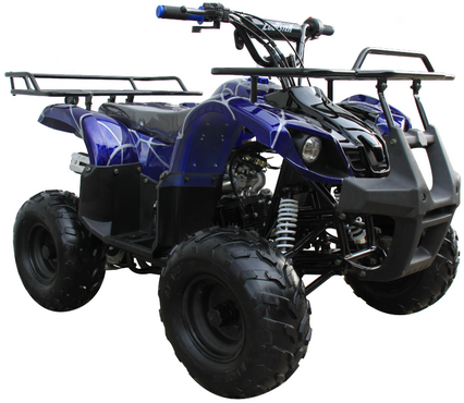 TrailMaster Mini 125cc Utility Style ATV, Electric Start, Automatic with Reverse, 7-inch Wheels, Ages 9-12