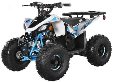 TrailMaster R125 125cc Sport ATV, Automatic with Reverse, 7-inch Wheels, Ages 9-1