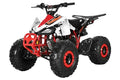 TrailMaster K125 125cc Sport ATV, Automatic with Reverse, 8-inch Wheels Large Tires, Ages 9-12