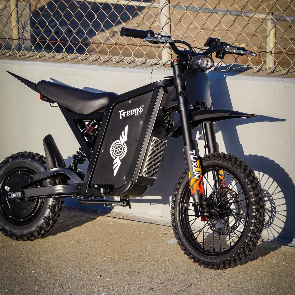 Freego X0 Electric Mini Bike