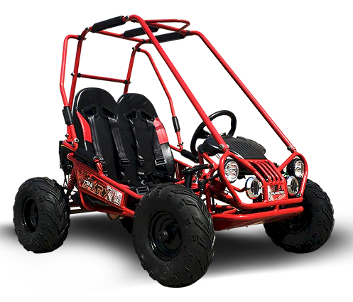 TrailMaster MINI XRX+ Kids Go Kart, 5.5hp Gas Engine with Electric Start, Remote Start/Kill, Ages 4-9