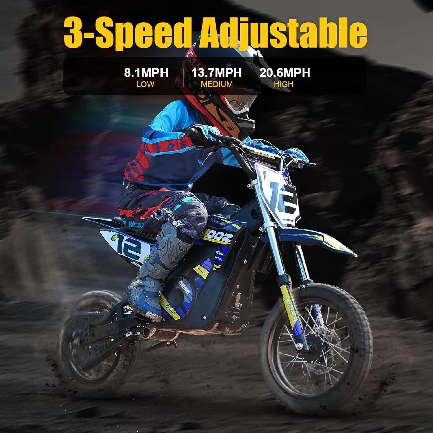 36V 1000W Electric Dirt Bike for Kids(HP112E PRO)