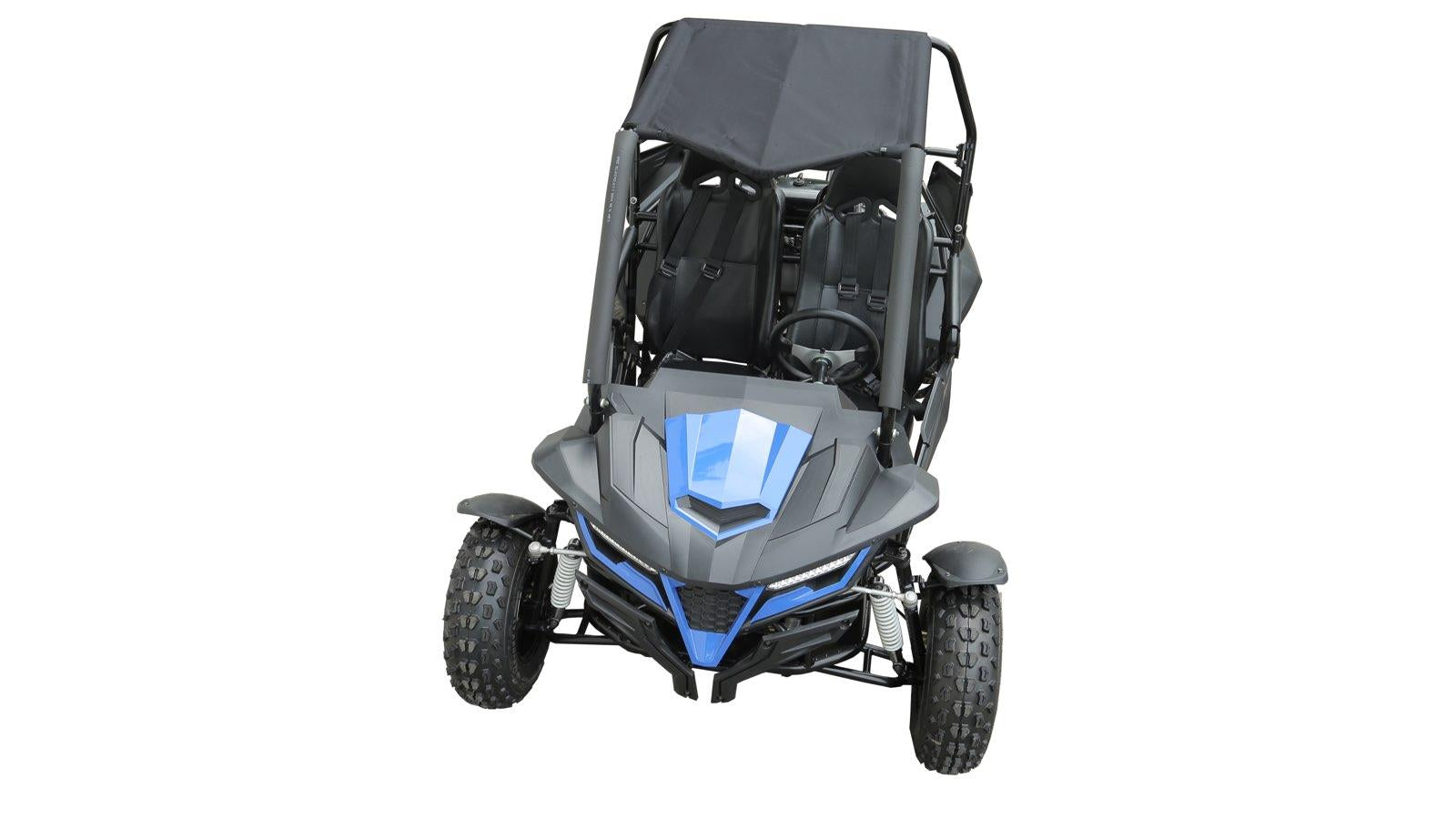TrailMaster Cheetah 200E EFI Buggy Go Kart, CVT Automatic with Reverse