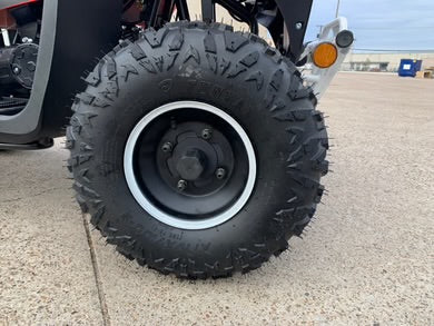 TrailMaster Lander-XD 125UF 125cc Utility ATV, Automatic with Reverse, 8-inch Wheels, Ages 9-12