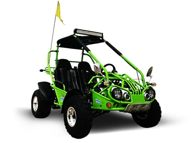 TrailMaster 200E XRX (EFI) Fuel Injection Deluxe Buggy Go Kart, Alloy Wheels, Lights, Turn Signals