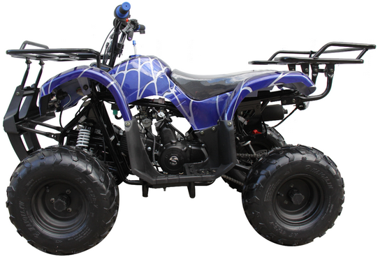 TrailMaster Mini 125cc Utility Style ATV, Electric Start, Automatic with Reverse, 7-inch Wheels, Ages 9-12