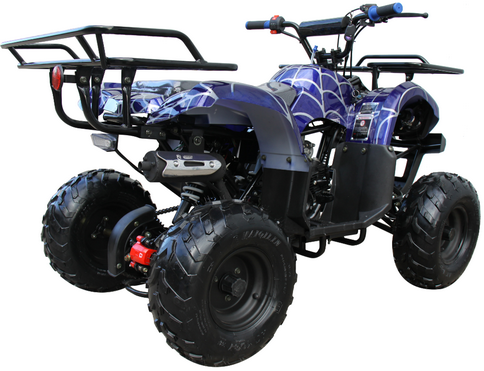 TrailMaster Mini 125cc Utility Style ATV, Electric Start, Automatic with Reverse, 7-inch Wheels, Ages 9-12