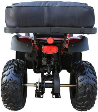 TrailMaster Coolster (3200U) 200cc Utility ATV, Electric Start, Automatic with Reverse, 10-inch Steel Wheels