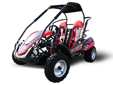 TrailMaster Blazer 200R MID-Size Go Kart, 7.5hp Torque Converter, Electric Start Reverse, Kids Ages 7-12