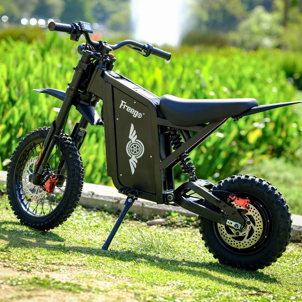 Freego X0 Electric Mini Bike