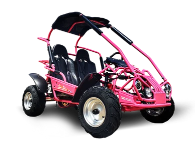 TrailMaster MID-Size XRX-R Go Kart, 196cc 6.5hp Torque Converter, Electric Start with Reverse, Kids Ages 7-12