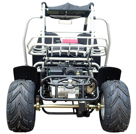 TrailMaster 300E XRS (EFI) Dune Buggy Go Kart, Liquid Cooled, Chain Drive
