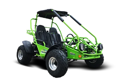 TrailMaster 200E XRS EFI Go Kart (Special) CVT Auto with Reverse -