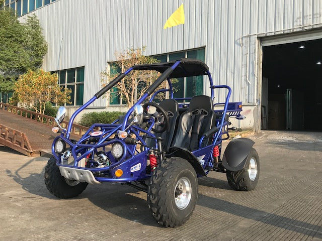 TrailMaster 300 XRX-E Dune Buggy Go Kart, EFI Fuel Injected, Liquid Cooled, Shaft Drive, Alloy Wheels