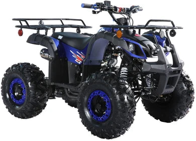 TrailMaster B125 125cc Utility ATV, Automatic with Reverse, 8-inch Wheels, Ages 12+