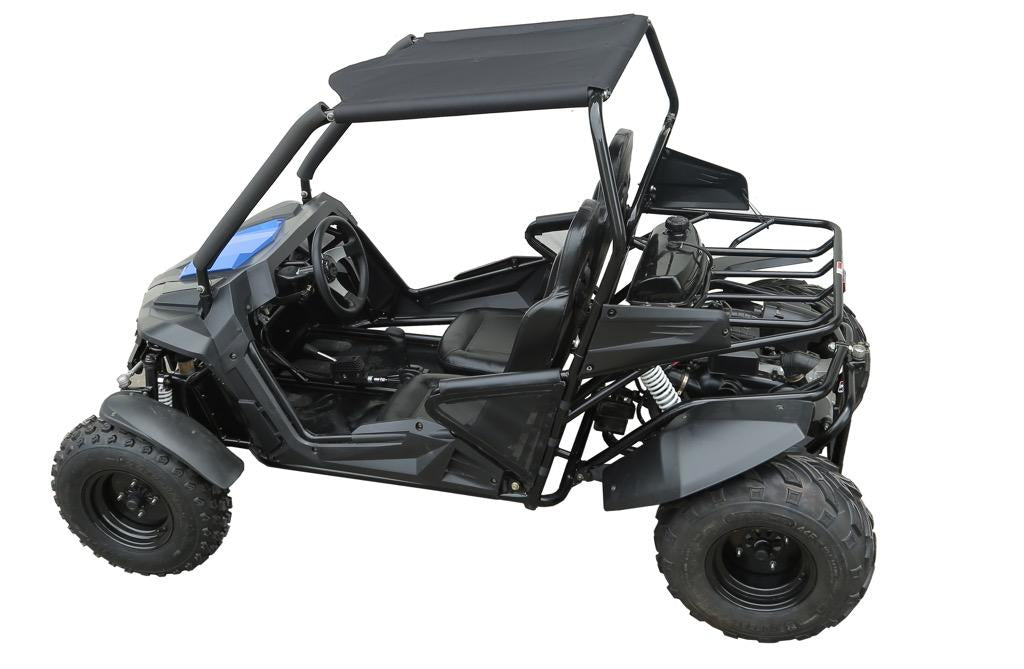 TrailMaster Cheetah 200E EFI Buggy Go Kart, CVT Automatic with Reverse