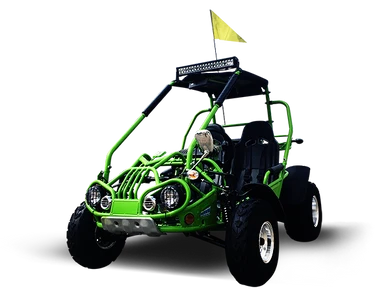 TrailMaster 200E XRX (EFI) Fuel Injection Deluxe Buggy Go Kart, Alloy Wheels, Lights, Turn Signals