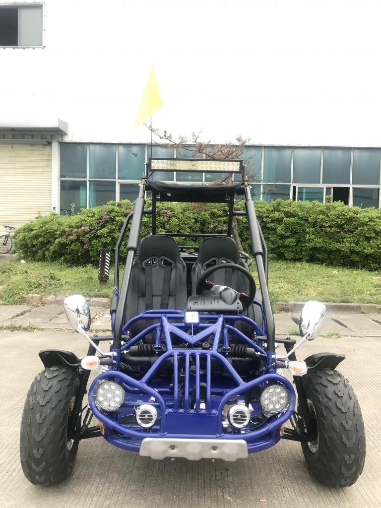 TrailMaster 200E XRX (EFI) Fuel Injection Deluxe Buggy Go Kart, Alloy Wheels, Lights, Turn Signals