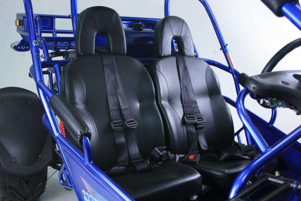 TrailMaster 300 XRX-E Dune Buggy Go Kart, EFI Fuel Injected, Liquid Cooled, Shaft Drive, Alloy Wheels