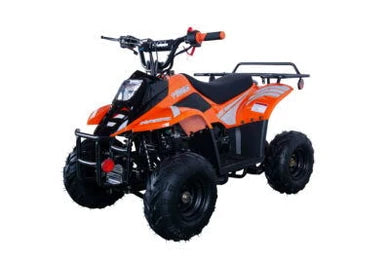 TrailMaster Mini Sport ATV 110, Gas Engine with Remote Start/Kill, Speed Governor, 6-inch Wheels