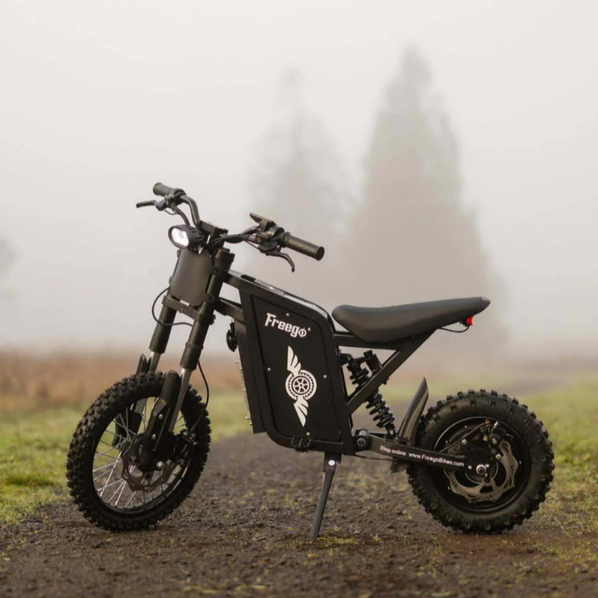 Freego X0 Electric Mini Bike