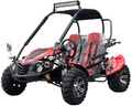 TrailMaster Blazer 200EX EFI Buggy Go Kart, LED Light Bar, Windshield Included