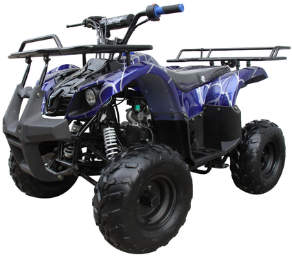 TrailMaster Mini 125cc Utility Style ATV, Electric Start, Automatic with Reverse, 7-inch Wheels, Ages 9-12