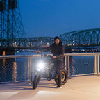 Freego S1 Cafe Racer eBike