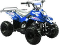 TrailMaster Mini Sport ATV 110, Gas Engine with Remote Start/Kill, Speed Governor, 6-inch Wheels