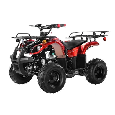 TrailMaster Mini 125cc Utility Style ATV, Electric Start, Automatic with Reverse, 7-inch Wheels, Ages 9-12