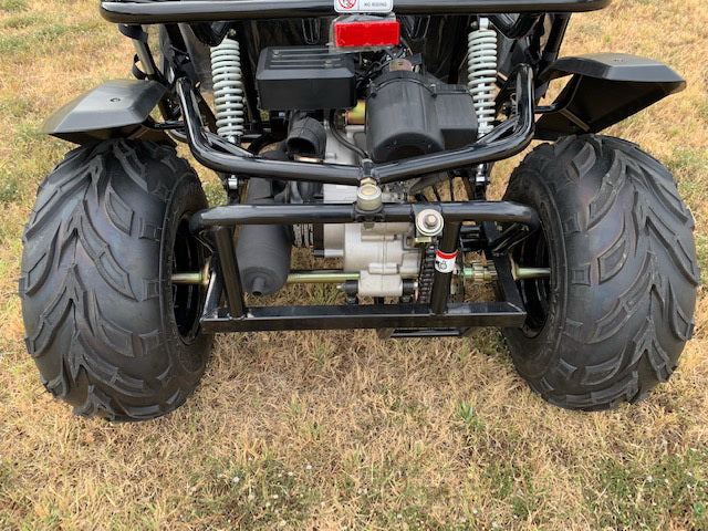 TrailMaster Cheetah 200E EFI Buggy Go Kart, CVT Automatic with Reverse